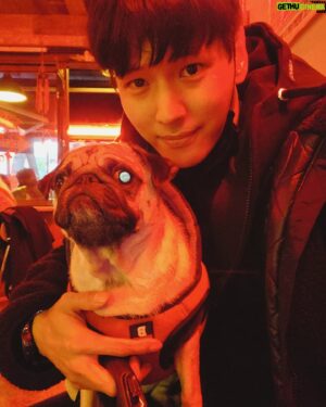 Ji Il-ju Instagram - 사진 찍기 싫은 코코...;;