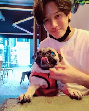 Ji Il-ju Instagram - 코코야, 카메라 좀 봐주지 않으련..?
#쿠데타