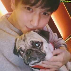 Ji Il-ju Instagram - 코코야 사진 찍기 싫어....?