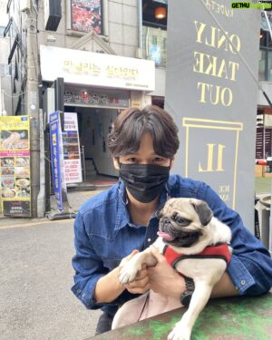 Ji Il-ju Instagram - #코코는살아있다
#쿠데타
#산책