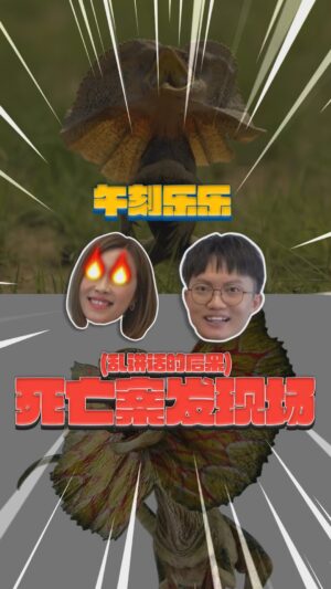 Jia Hui Siau Instagram - Jiahui looks like an ugly animal?! 😱

空中的动物星球🤣🤣
伞蜥蜴 双冠龙 傻傻分不清楚🤣

#午刻乐乐
