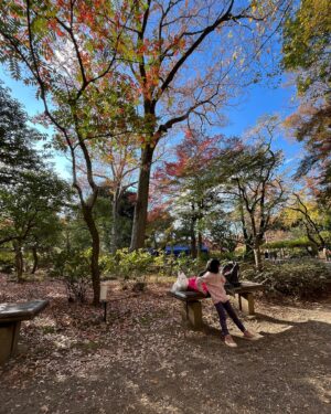 Jia Hui Siau Instagram - Because this beautiful garden deserves a post of its own! 🇯🇵 

1) this place needs no filter! #美到爆
2) ✌🏼
3) going everywhere with Little T
Can’t decide if I like 4, 5, or 6 the most!
7) 12 degrees Celsius Bishan-AMK park 😂 (many of you saw the resemblance!)
8) 天天都有落叶～ #什么歌
9) otw to the park (need to walk quite a bit from the station 🦶 )
10) eating this while admiring the scenery 

#Tokyo #TokyoTravel #Rikugien