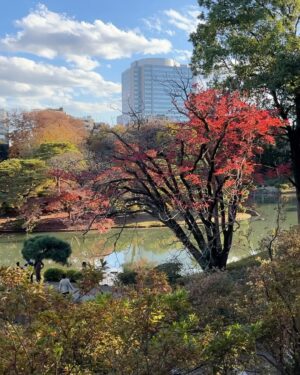 Jia Hui Siau Instagram - Because this beautiful garden deserves a post of its own! 🇯🇵 

1) this place needs no filter! #美到爆
2) ✌🏼
3) going everywhere with Little T
Can’t decide if I like 4, 5, or 6 the most!
7) 12 degrees Celsius Bishan-AMK park 😂 (many of you saw the resemblance!)
8) 天天都有落叶～ #什么歌
9) otw to the park (need to walk quite a bit from the station 🦶 )
10) eating this while admiring the scenery 

#Tokyo #TokyoTravel #Rikugien