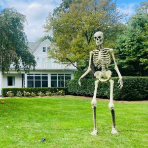 Jill Hennessy Instagram - Out for a run on the #jerseyshore & this dude is EVERYWHERE!! #halloween #newjersey #skeleton 🎃💀