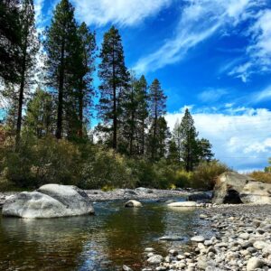 Jill Shalvis Instagram - Today’s #amwriting is amazing but oh boy the mosquitoes are bad this year!