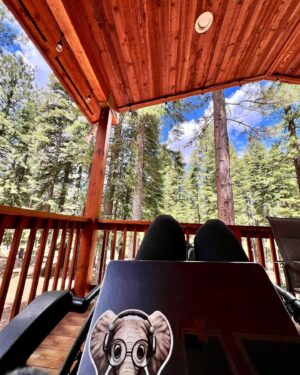 Jill Shalvis Instagram - My outside office has been fired. This is the scene of the crime. One minute after I took this picture I found a massive spider dangling right over my head. To say I screamed would be an understatement. My office is dead to me. My laptop has a concussion from being flung. And I stubbed my toe trying to get back inside. Terrible horrible no good very bad day.