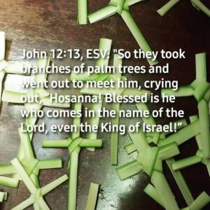 Jim Caviezel Instagram - It is a trustworthy statement, deserving full acceptance, that Christ Jesus came into the world to save sinners, among whom I am foremost of all.
1 Timothy 1:15 

Let's start the Holy Week by being Christ-like and love one another. God bless you! Jim

#palmsunday
#holyweek
#thepassionofthechrist
#passionofthechrist