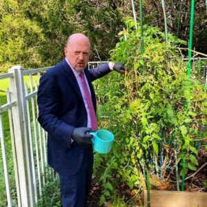 Jim Cramer Instagram - Relaxing in my garden 🍅🥕🥒