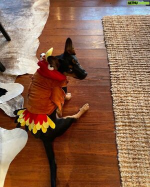 Jim Cramer Instagram - Happy Thanksgiving to all!