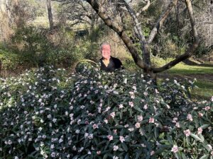 Jimmy Barnes Instagram - Can you believe our daphne has survived such frosty mornings? It grows like hedges here down by the river. The perfume in the garden is out of this world. Nice having a rest at home
