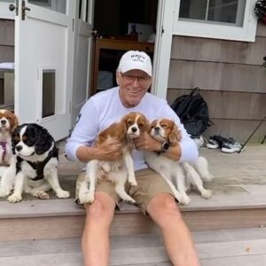 Jimmy Buffett Instagram - thank you for sharing so many great #likemydog videos! 
@aspca 🐶🦮🐕🦴❤️
#equalstrainonallparts