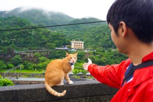 Jirayus Khaobaimai Instagram - เป็นคนรักแมวครับ🐱