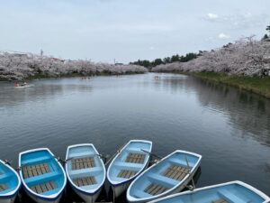 Jiro Instagram - 弘前公園。
岩木山撮っちゃうよね。
弘前公園の桜はぶりんぶりんでした。