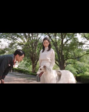 Jiro Instagram - 撮影現場の現実。
リハ犬。