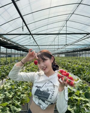 Jo Ah-young Instagram - 딸기가 풍년이오🍓🍓❤️