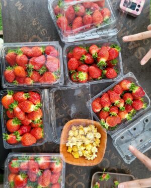 Jo Ah-young Instagram - 딸기가 풍년이오🍓🍓❤️