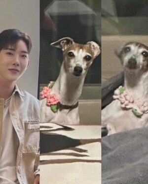 Jo Kwon Instagram - 왜옹?🌸