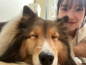 Jo Yoon-seo Instagram - 오늘밤 열시 삼십분 줴티비씨🩵
#웰컴투삼달리 첫방송!
귀찮아하는 조이 귀여움 빌려서 홍보하기🐶