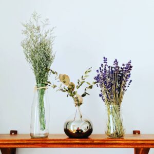 Joanie Gonthier Instagram - Les plantes, vivantes comme séchées, bercent mon âme, vois-tu?! #WeAreAllConnected