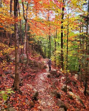 Joanie Gonthier Instagram - J'dors icitte. 🍂
#OneWithTheTrees🌲