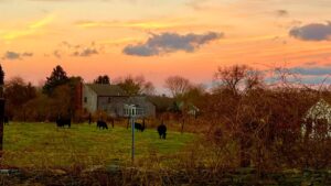 Joanna Going Instagram - Winter Sunset on Aquidneck Island