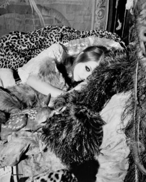 Joanna Newsom Instagram - Photos by Annabel Mehran!