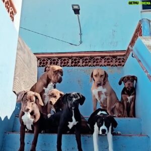 João Maria Maneira Instagram - A gangue cá de casa 😎