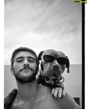 João Maria Maneira Instagram - A vida encontrou-me outra vez. 
O meu cão não é uma cão, é um pedaço de cura que o universo me entregou. Este é o Naco da Pedra, o novo membro da família Maneira. A quem o abandonou, fique descansado que será amado como nunca foi. 
Ele está bem como podem ver pelas fotos 😂e ficará cada dia melhor! Cara de “mau”, com cicatrizes de lutas mas um coração de criança, esse é o meu Naco ❤️

Bem vindo miúdo 🤗

Ph: a mais fofa e única.