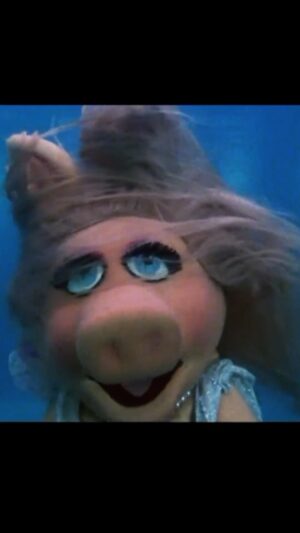 Joaquim Monchique Instagram - We ❤️Miss Piggy