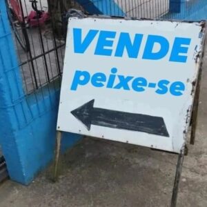 Joaquim Monchique Instagram - 😎