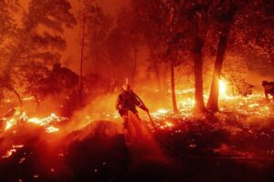 Joe Hahn Instagram - This year, fires in California have already burned 2.2 million acres of land and growing. The Fire Relief Fund is working to help firefighters, first responders, & communities impacted by these wildfires. Learn more at musicforrelief.org/firefund (🔗 in bio)

📷: Noah Berger