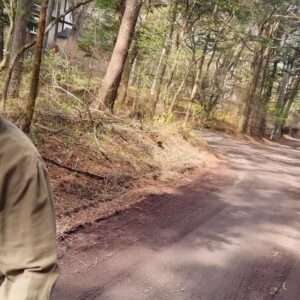 Joe Hisaishi Instagram - [ REPOST @joehisaishi_composer ]

A walk in nature.