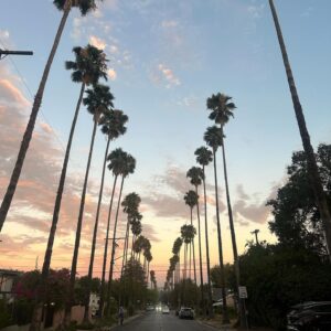 Joe Serafini Instagram - an august walk ☺️🌄
