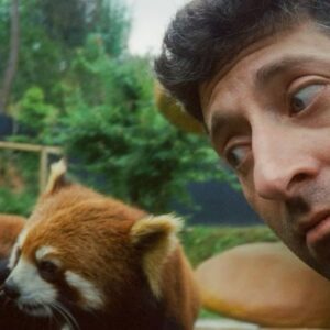 Joe Trohman Instagram - Made a new friend a few weeks ago when we were in China. 

Shot on Yashica T5 with CineStill 800 35