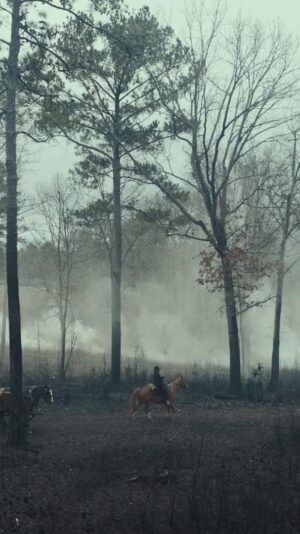 Joel Edgerton Instagram - The official trailer for #TheUndergroundRailroad, coming May 14 to Amazon Prime Video. Find more at @TheUGRailroadTV!