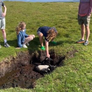 Joel McHale Instagram - Well… I think my family and I did the most Irish thing we could have while in Ireland…we saved two lambs. My 15yr old Isaac & my nephew Jackson happened upon(this is how I talk now) the mud-stranded guys and we pulled them from, what the Irish call…a dirty bog. The second one was more trapped and deeper so you’ll see his back legs were fully asleep. He was running and bleating two minutes later. And in true Irish graciousness—-the heard took us out for a pint afterwards. Eddie and Pricilla coached me well. #ireland #eringobragh #achillisland #castlebar #lamb #lambylambs