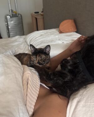 Joel Smallbone Instagram - Sending you July-4th love and greetings from moments with extended family with a few cat (Adelina) and dog (Meriweather) pics/vids at home thrown in.. 🐱🐕🏠

Moriah and me hope this day is not only filled with the explosions of fireworks - but of giving, gratitude and a grace that comes from God…the kind that surprises you and meets you right where you are. 🎇🧨🇺🇸🤍