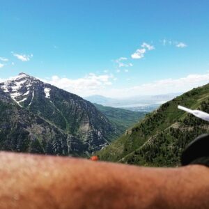 John David Washington Instagram - This lady was just sitting on me and we both looked on to this beautiful view. She wished me luck and flew off. #sundancelabs2017 #utah #jeditraining #glorybetogod