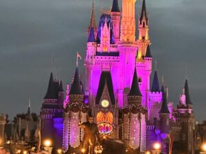 John Dodson Instagram - Tokyo Disneyland was one of the best places to go walk around and cut some weight. I’ll let have a full video posted up later