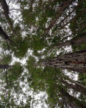 John Karna Instagram - Nature pics Big Sur wow life is crazy huh gang does anyone have some good tips how do we all do this!? Should we all drink more water?!?