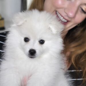 John Patrick "Jack" Douglass Instagram - YIAY question: What should we name our new puppy?