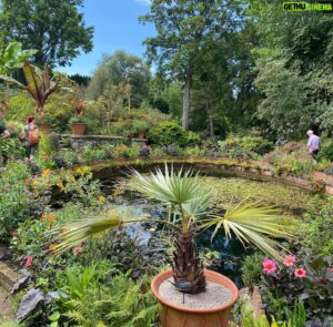 John Taylor Instagram - Länge sedan jag var här på Bodnant Garden. Hade glömt hur vackert och svårfotagraferat (för mig) just det här rummet är.