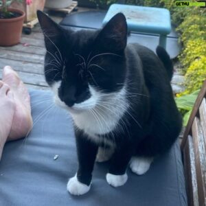 John Taylor Instagram - Sommarbesök av kungen…. Som bor i Kävlinge annars😂. 🐈‍⬛