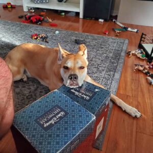 Jon Huber Instagram - Quarantine update #2

Dogs
3 legged cats
Insane 2 year old
Fat Ham cat
More Dogs
Sheiky
Publix uniform for mom
Zoom Jiu-jitsu 
Etc. In no particular order

Thoughts Larry?