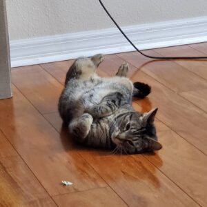 Jon Huber Instagram - Quarantine review post. 
Larry.