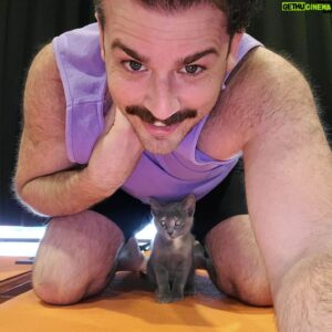Jon Risinger Instagram - Yoga with kittens for the #garfieldmovie is the best way to spend a Sunday, turns out. And getting to see @chupiedoesntgiveameow again as a bonus? Day well spent.
