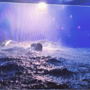 Jonah Hauer-King Instagram - part IV 🧜🏾‍♀️🐚🦀🌊

1. life guard
2. me and Dan
3. ship wreck
4. ursula battle 
5. camera test
6. sardinia
7. kite surfing 
8. rescue
9. sardinia
10. eric