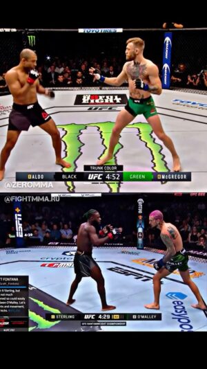 Jonas Bilharinho Instagram - 🇧🇷Se pudessem ter visto um dos dois ao vivo, qual seria?

🇺🇸If you could’ve seen one of em live, which would it be?

💼 @thequantichub 

#mma #mmabrasil #ufc #kosquad #nocaute #knockout #ko #bilharinho