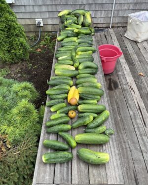 Jonathan Frakes Instagram - Today’s haul