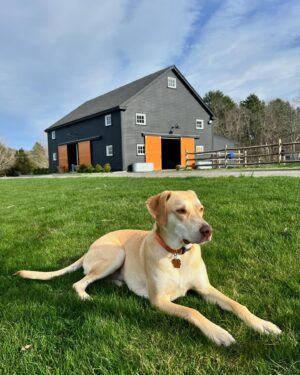 Jonathan Knight Instagram - Oliver can’t wait to see his dad’s season 3 premiere of Farmhouse  Fixer this Tuesday @9pm on HGTV